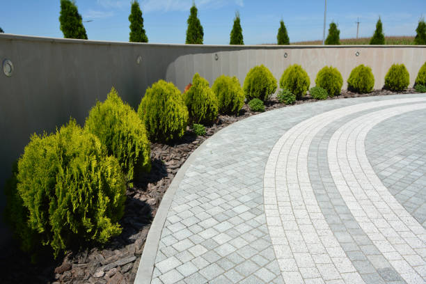 Driveway Repair Near Me in Bear Creek, AL
